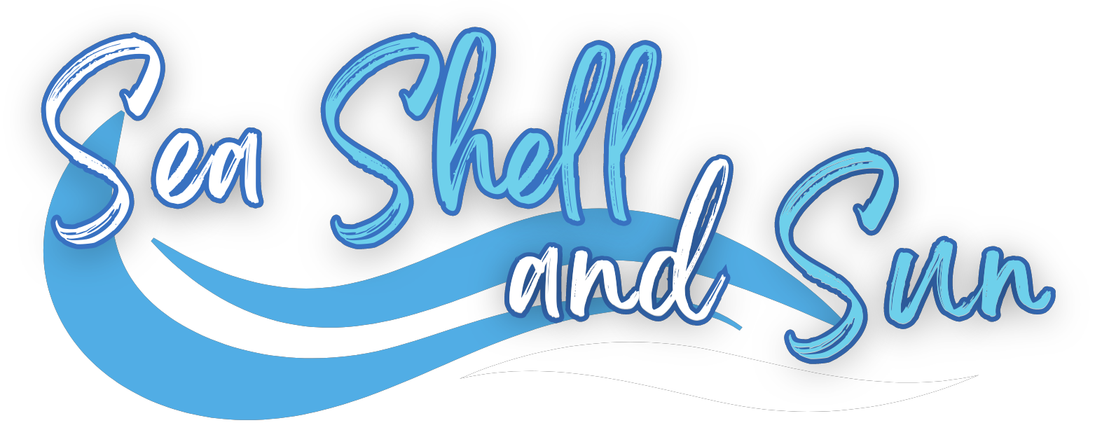 Sea Shell and Sun
